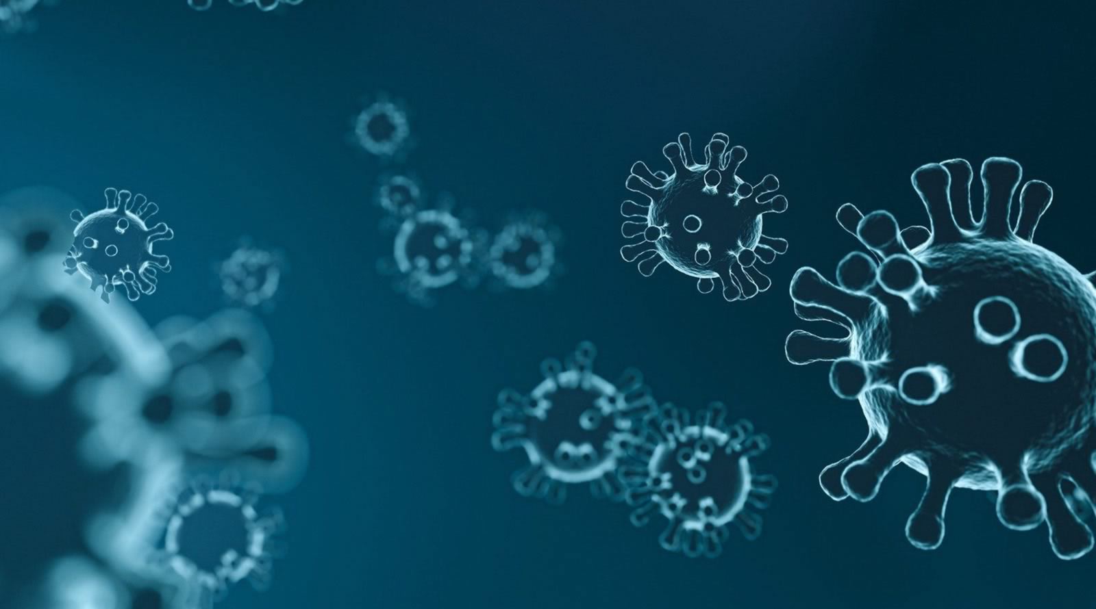 coronavirus