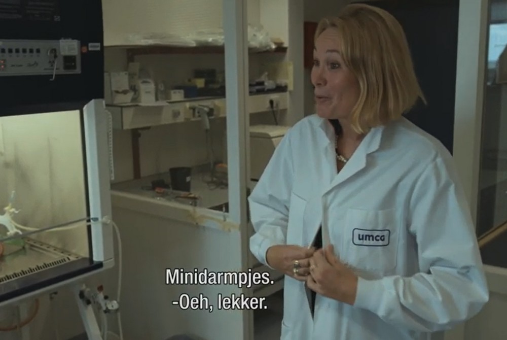 I. Sommer in een laboratorium